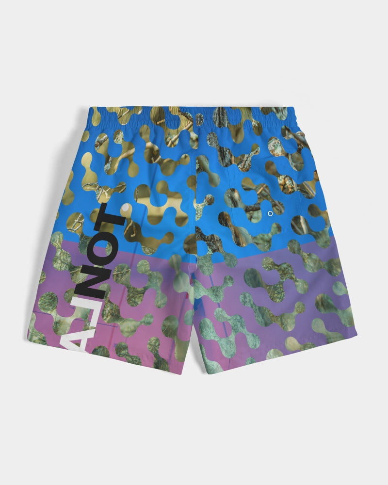 NormalNot Red to Blue Swim Trunks