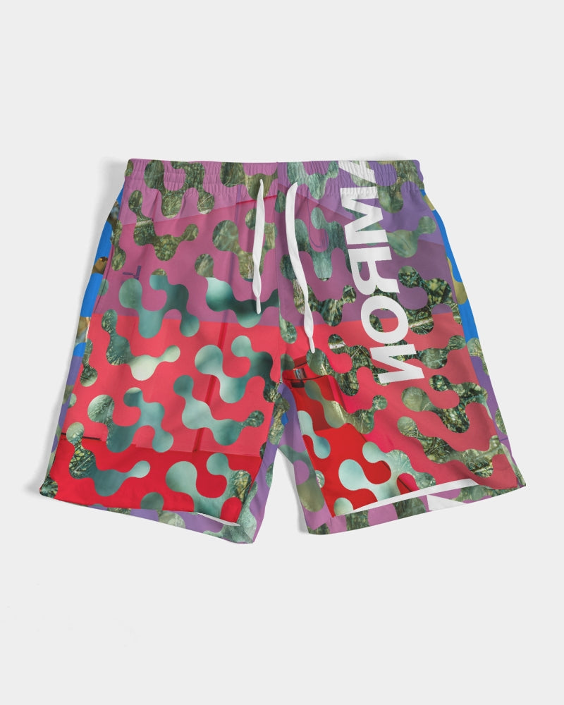NormalNot Red to Blue Swim Trunks